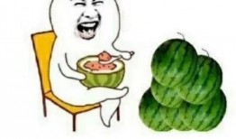 娱乐网吃瓜,揭秘明星幕后故事